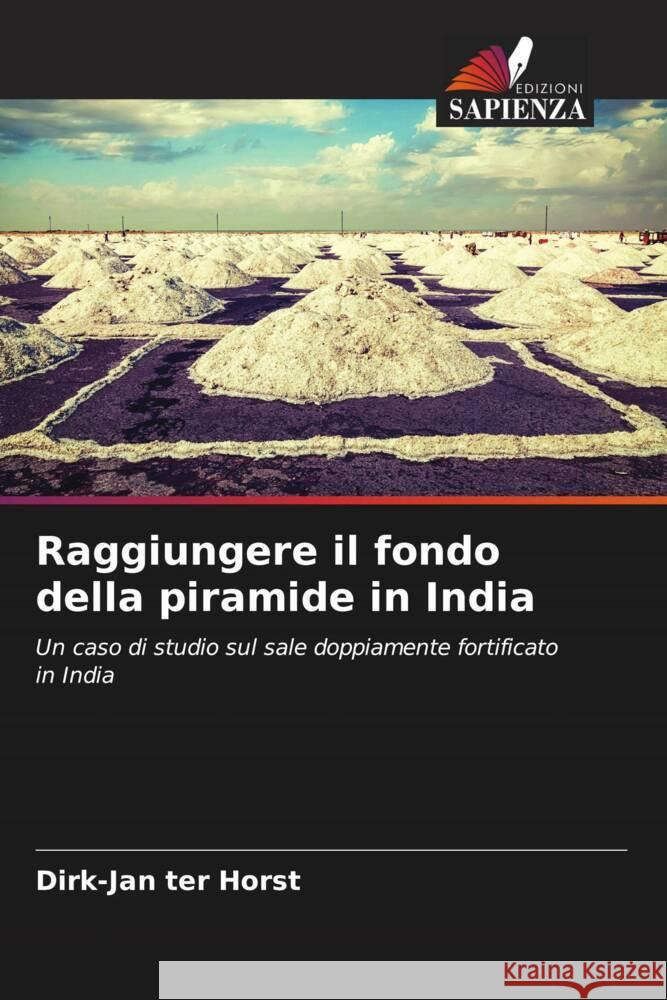 Raggiungere il fondo della piramide in India ter Horst, Dirk-Jan 9786205097731