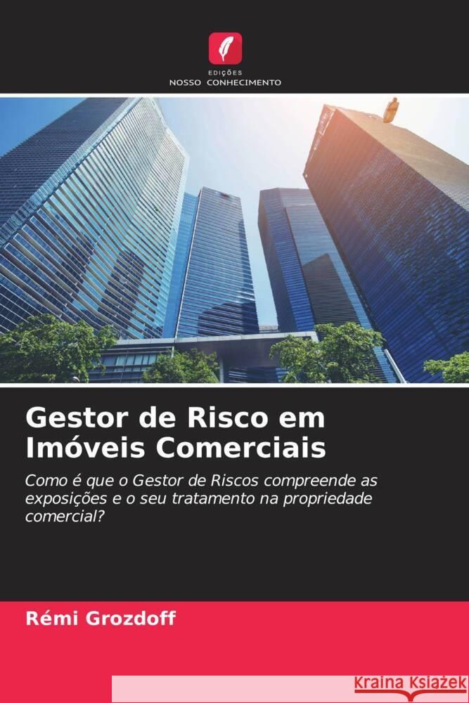 Gestor de Risco em Imóveis Comerciais Grozdoff, Rémi 9786205104194