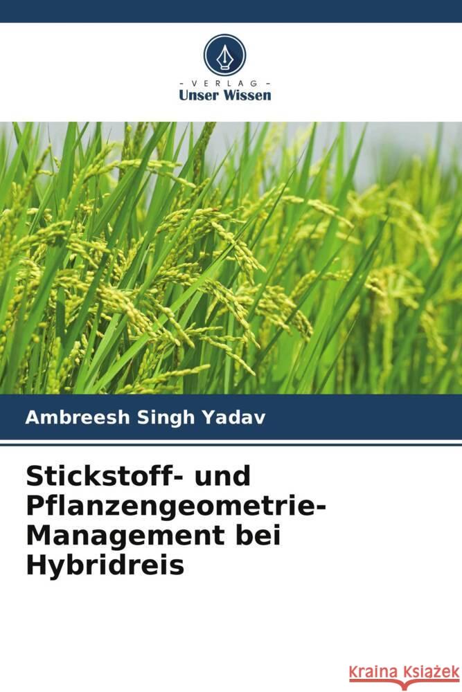 Stickstoff- und Pflanzengeometrie-Management bei Hybridreis Yadav, Ambreesh Singh 9786205120859 Verlag Unser Wissen