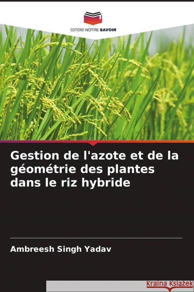 Gestion de l'azote et de la géométrie des plantes dans le riz hybride Yadav, Ambreesh Singh 9786205120873 Editions Notre Savoir