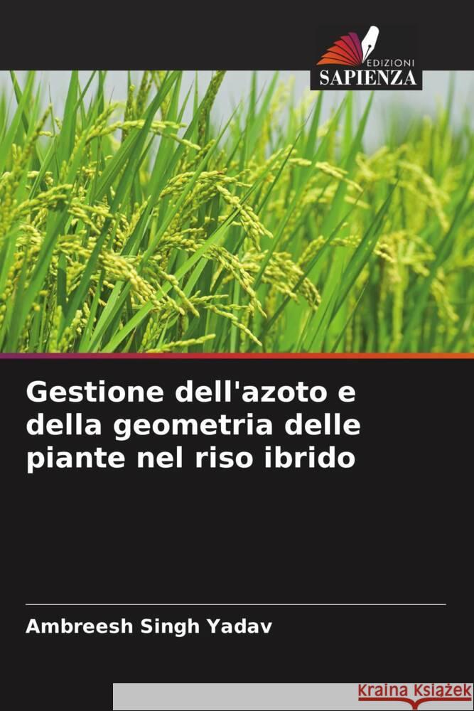 Gestione dell'azoto e della geometria delle piante nel riso ibrido Yadav, Ambreesh Singh 9786205120897 Edizioni Sapienza