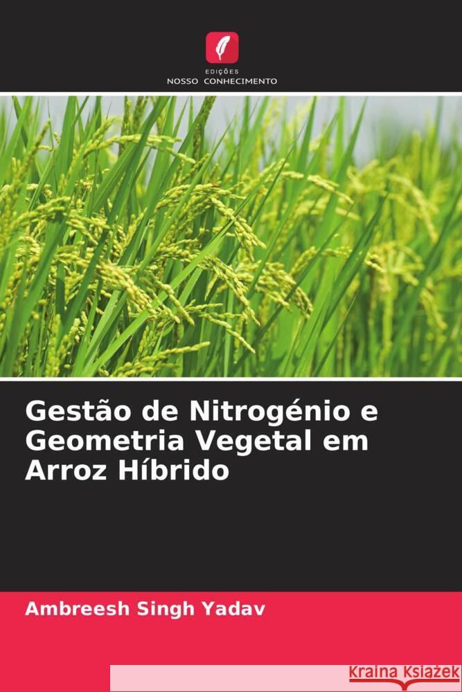 Gestão de Nitrogénio e Geometria Vegetal em Arroz Híbrido Yadav, Ambreesh Singh 9786205120903 Edições Nosso Conhecimento