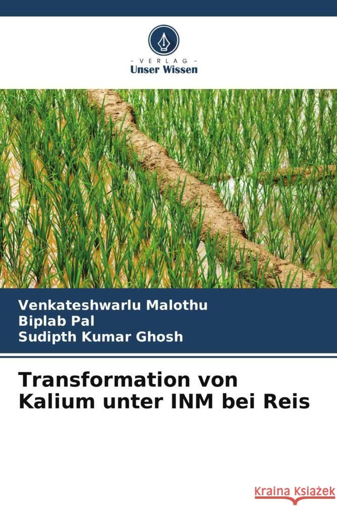 Transformation von Kalium unter INM bei Reis Malothu, Venkateshwarlu, Pal, Biplab, Ghosh, Sudipth Kumar 9786205126646