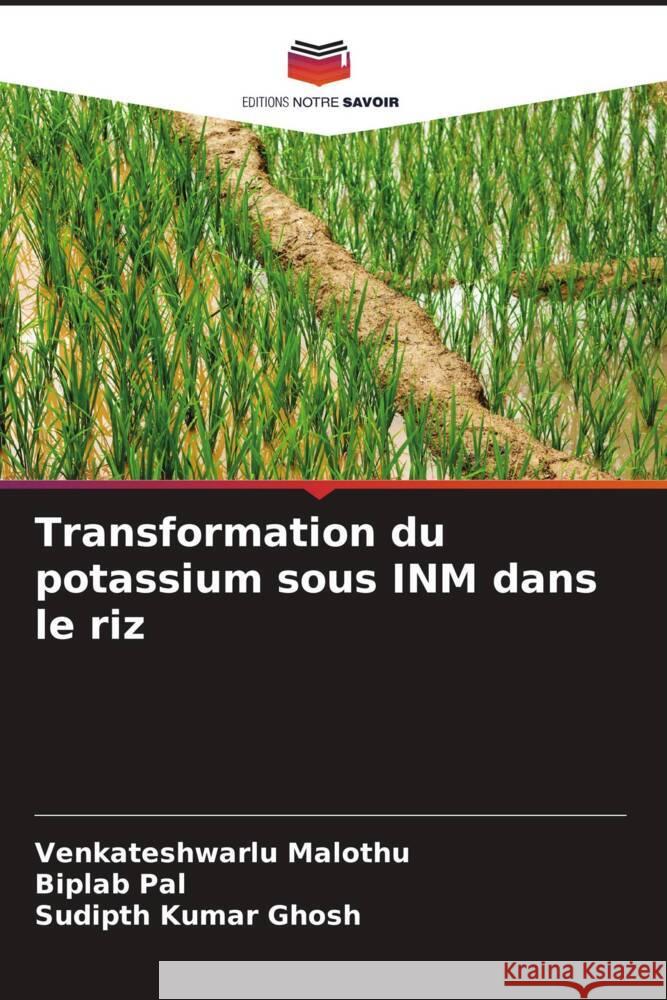 Transformation du potassium sous INM dans le riz Malothu, Venkateshwarlu, Pal, Biplab, Ghosh, Sudipth Kumar 9786205126653