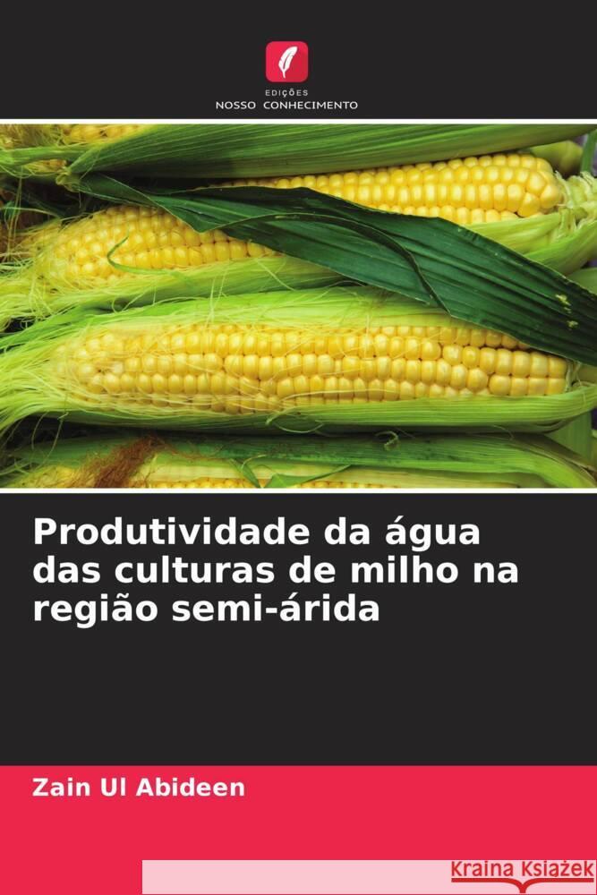 Produtividade da água das culturas de milho na região semi-árida Abideen, Zain Ul 9786205128824 Edições Nosso Conhecimento