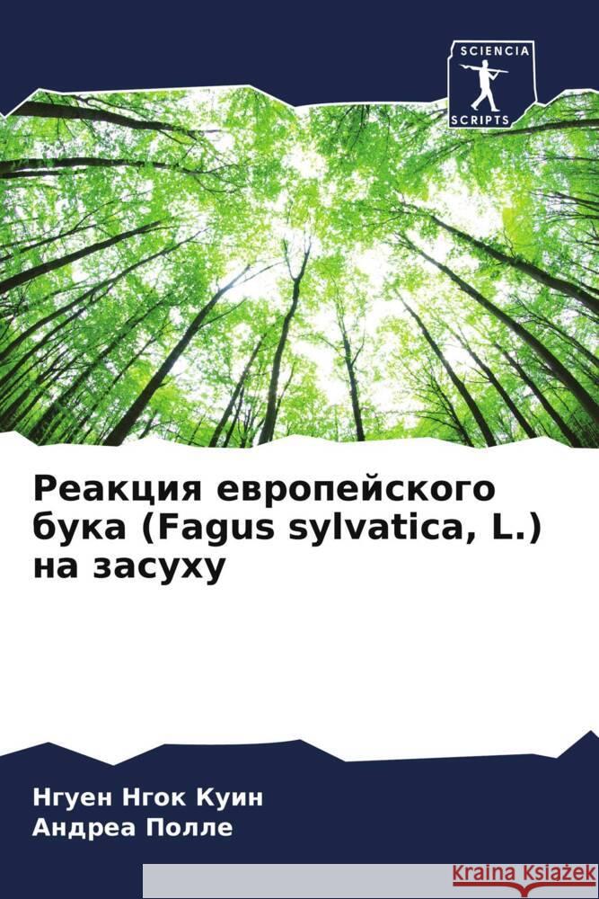 Reakciq ewropejskogo buka (Fagus sylvatica, L.) na zasuhu Ngok Kuin, Nguen, Polle, Andrea 9786205144206