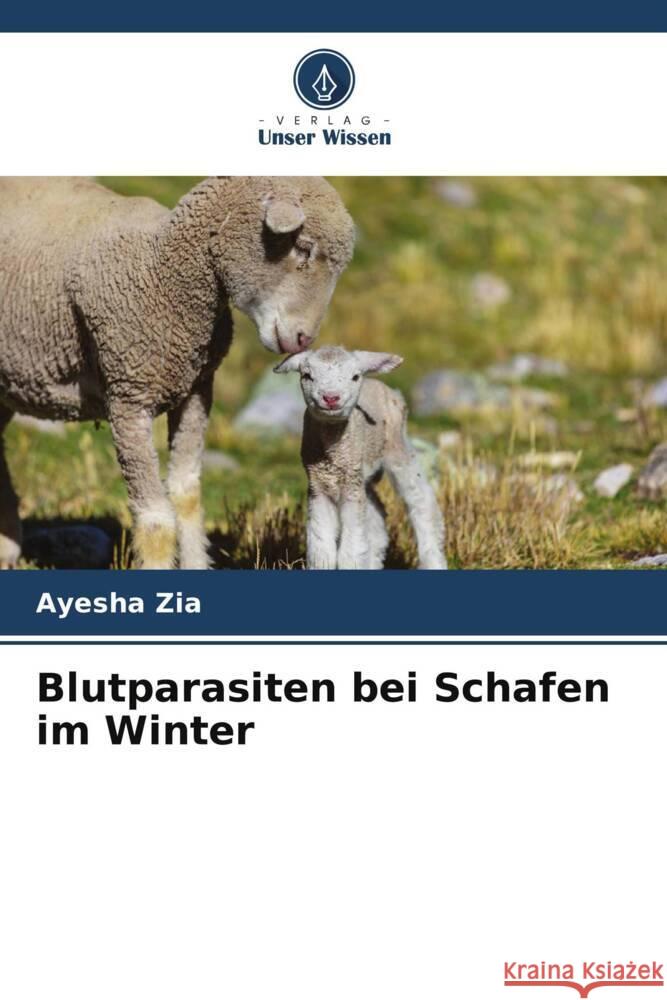 Blutparasiten bei Schafen im Winter Zia, Ayesha 9786205148198 Verlag Unser Wissen
