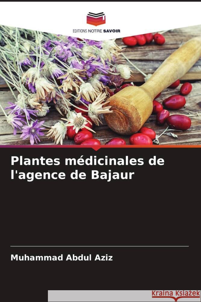 Plantes médicinales de l'agence de Bajaur Abdul Aziz, Muhammad 9786205157671