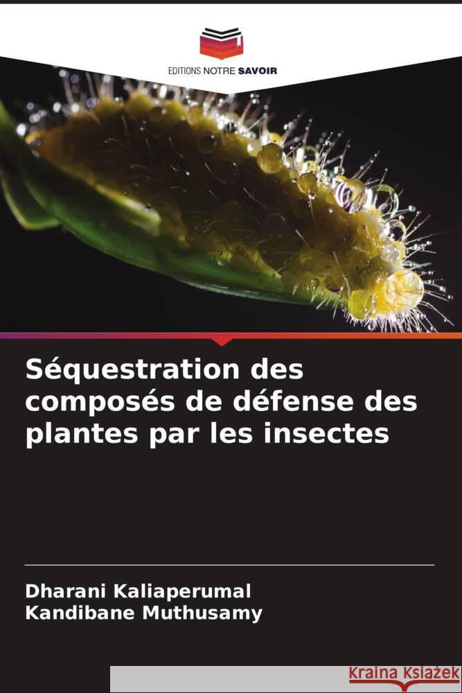 Séquestration des composés de défense des plantes par les insectes Kaliaperumal, Dharani, Muthusamy, Kandibane 9786205161340 Editions Notre Savoir