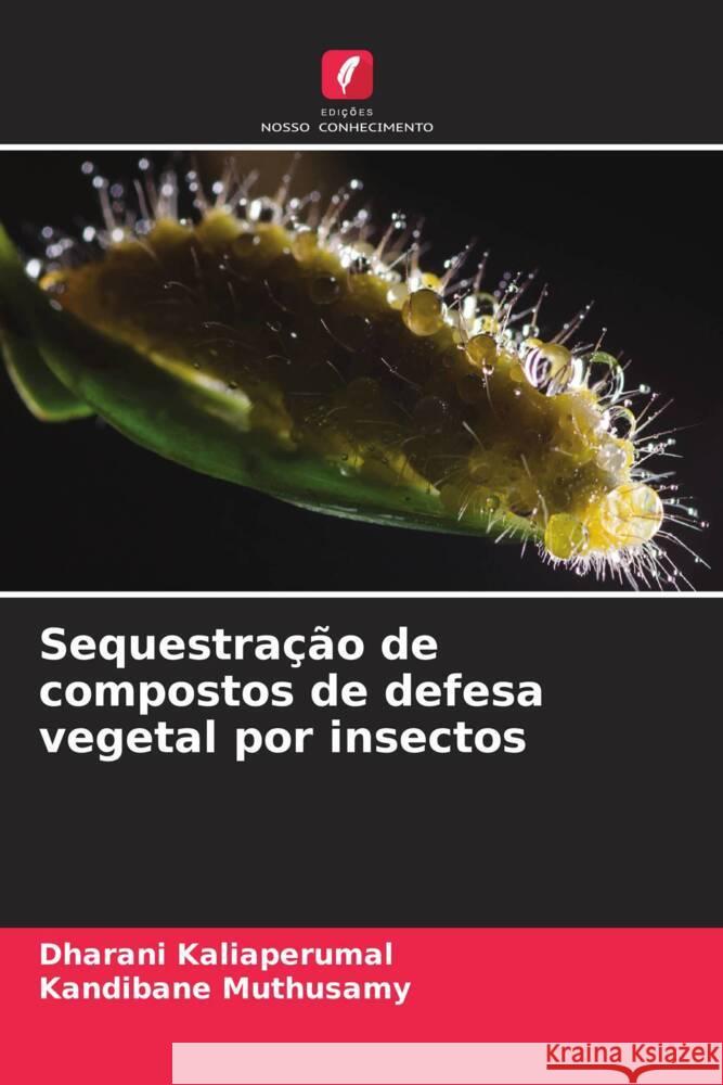 Sequestração de compostos de defesa vegetal por insectos Kaliaperumal, Dharani, Muthusamy, Kandibane 9786205161357 Edições Nosso Conhecimento