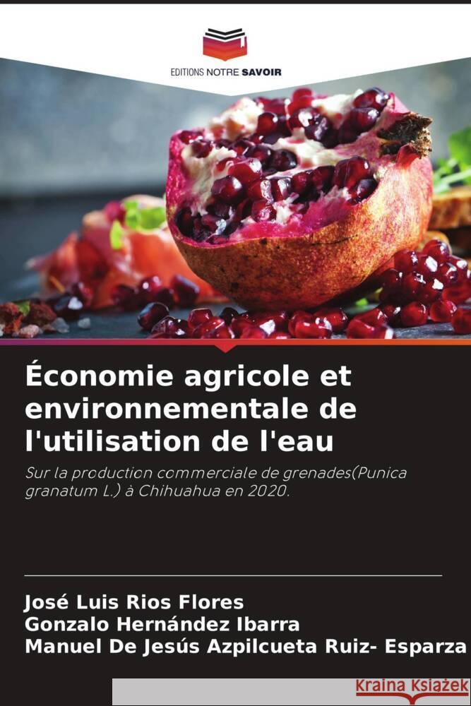 Économie agricole et environnementale de l'utilisation de l'eau Ríos Flores, José Luis, Hernández Ibarra, Gonzalo, Azpilcueta Ruiz- Esparza, Manuel De Jesús 9786205168196