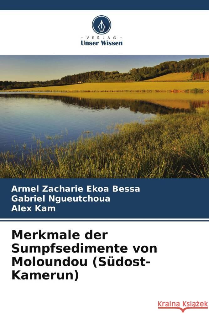 Merkmale der Sumpfsedimente von Moloundou (Südost-Kamerun) Ekoa Bessa, Armel Zacharie, Ngueutchoua, Gabriel, Kam, Alex 9786205181379