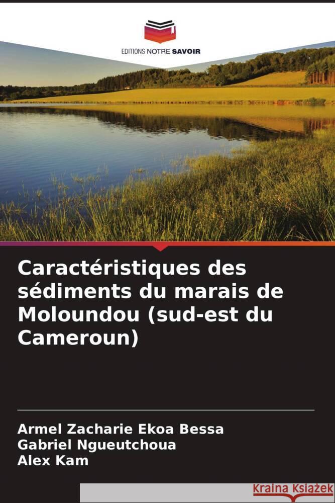 Caractéristiques des sédiments du marais de Moloundou (sud-est du Cameroun) Ekoa Bessa, Armel Zacharie, Ngueutchoua, Gabriel, Kam, Alex 9786205181393