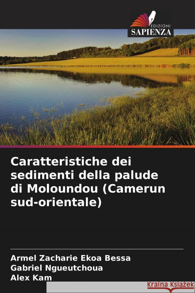 Caratteristiche dei sedimenti della palude di Moloundou (Camerun sud-orientale) Ekoa Bessa, Armel Zacharie, Ngueutchoua, Gabriel, Kam, Alex 9786205181409