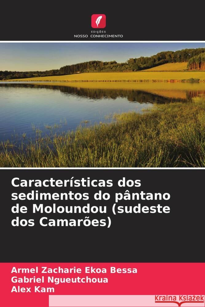 Características dos sedimentos do pântano de Moloundou (sudeste dos Camarões) Ekoa Bessa, Armel Zacharie, Ngueutchoua, Gabriel, Kam, Alex 9786205181416