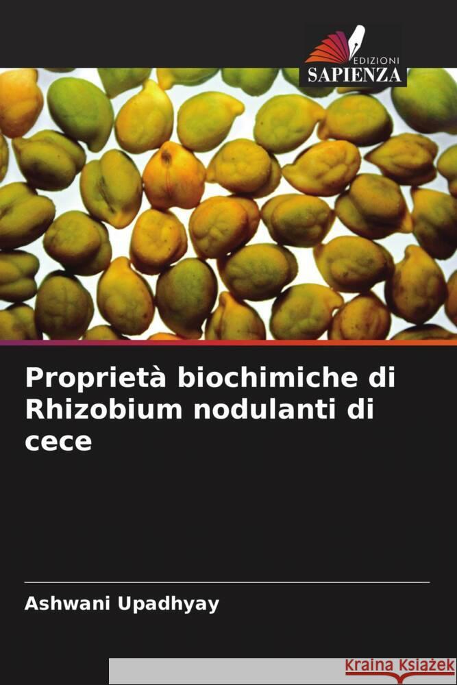 Proprietà biochimiche di Rhizobium nodulanti di cece Upadhyay, Ashwani 9786205196991 Edizioni Sapienza