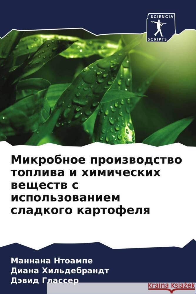 Mikrobnoe proizwodstwo topliwa i himicheskih weschestw s ispol'zowaniem sladkogo kartofelq Ntoampe, Mannana, Hil'debrandt, Diana, Glasser, Däwid 9786205200308 Sciencia Scripts