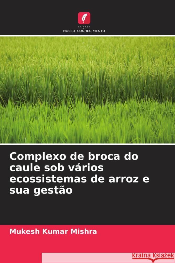 Complexo de broca do caule sob vários ecossistemas de arroz e sua gestão Mishra, Mukesh Kumar 9786205201183 Edições Nosso Conhecimento