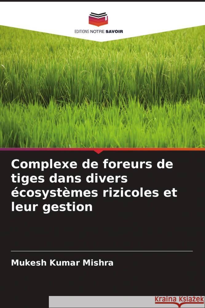 Complexe de foreurs de tiges dans divers écosystèmes rizicoles et leur gestion Mishra, Mukesh Kumar 9786205201671 Editions Notre Savoir