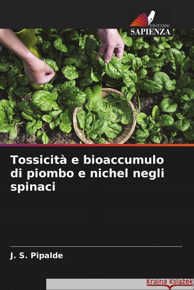 Tossicit? e bioaccumulo di piombo e nichel negli spinaci J. S. Pipalde M. L. Dotaniya R. C. Jain 9786205203965 Edizioni Sapienza