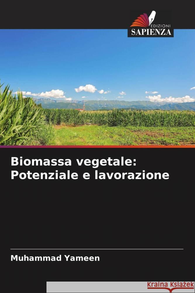 Biomassa vegetale: Potenziale e lavorazione Yameen, Muhammad 9786205210673