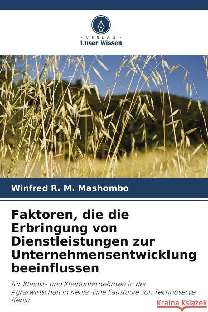 Faktoren, die die Erbringung von Dienstleistungen zur Unternehmensentwicklung beeinflussen R. M. Mashombo, Winfred 9786205226629 Verlag Unser Wissen