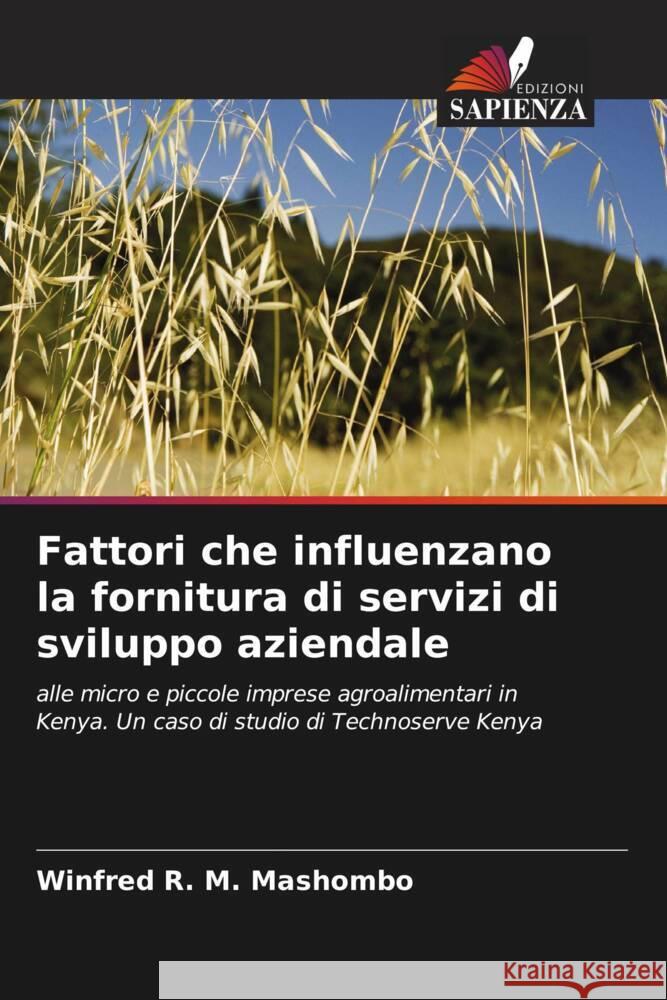 Fattori che influenzano la fornitura di servizi di sviluppo aziendale R. M. Mashombo, Winfred 9786205226650 Edizioni Sapienza