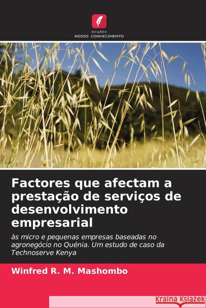 Factores que afectam a prestação de serviços de desenvolvimento empresarial R. M. Mashombo, Winfred 9786205226674 Edições Nosso Conhecimento