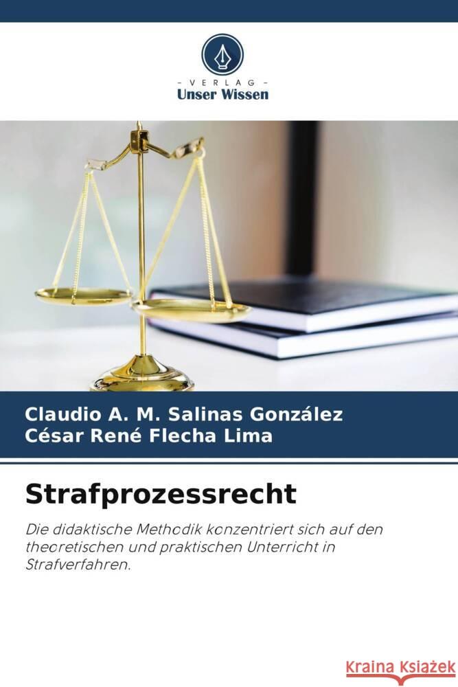 Strafprozessrecht Salinas González, Claudio A. M., Flecha Lima, César René 9786205239896