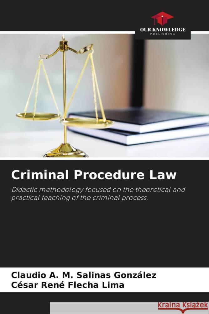 Criminal Procedure Law Salinas González, Claudio A. M., Flecha Lima, César René 9786205239902