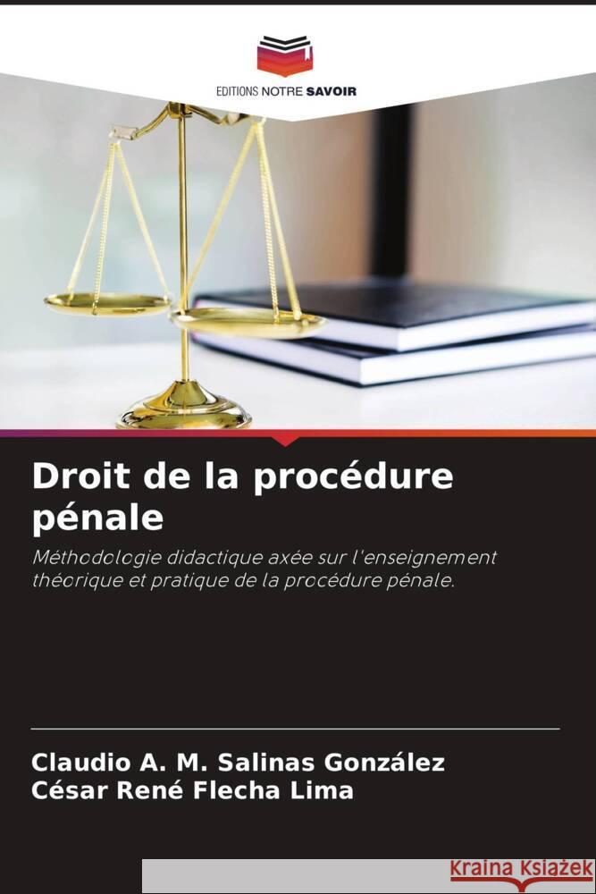 Droit de la procédure pénale Salinas González, Claudio A. M., Flecha Lima, César René 9786205239919