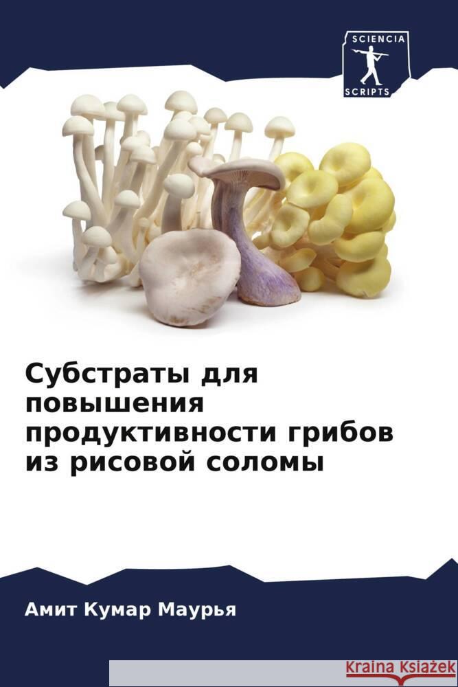 Субстраты для повышения Маурьn В Джон 9786205250198 Sciencia Scripts