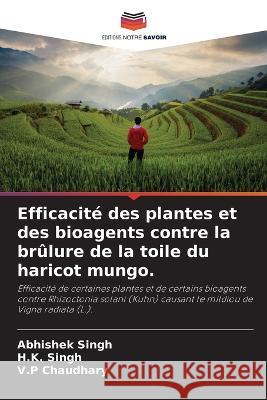 Efficacité des plantes et des bioagents contre la brûlure de la toile du haricot mungo. Singh, Abhishek 9786205273456 Editions Notre Savoir