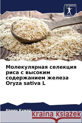 Молекулярная селекция риса с выс Навин Кумар 9786205276235 Sciencia Scripts