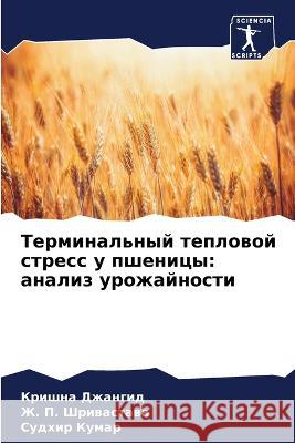 Терминальный тепловой с& Джангl 9786205285732 Sciencia Scripts
