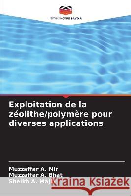 Exploitation de la zéolithe/polymère pour diverses applications Mir, Muzzaffar A. 9786205296066 Editions Notre Savoir