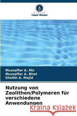 Nutzung von Zeolithen/Polymeren für verschiedene Anwendungen Mir, Muzzaffar A. 9786205296080 Verlag Unser Wissen