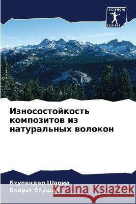 Износостойкость композ&# Шарма, 9786205302316 Sciencia Scripts