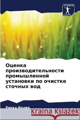Оценка производительно&# Валия, 9786205305027 Sciencia Scripts