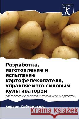 Разработка, изготовление и испыт Авраам Хабтемихель 9786205334379 Sciencia Scripts