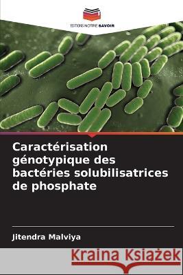 Caractérisation génotypique des bactéries solubilisatrices de phosphate Jitendra Malviya 9786205347706