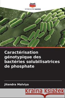 Caractérisation génotypique des bactéries solubilisatrices de phosphate Jitendra Malviya 9786205347706 Editions Notre Savoir