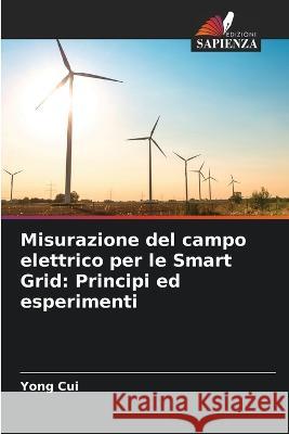 Misurazione del campo elettrico per le Smart Grid: Principi ed esperimenti Yong Cui 9786205362440 Edizioni Sapienza