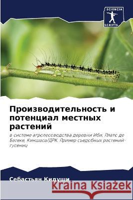 Производительность и потенциал & Себастьян Кидуши 9786205369371 Sciencia Scripts