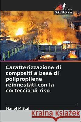 Caratterizzazione di compositi a base di polipropilene reinnestati con la corteccia di riso Manoj Mittal 9786205388792 Edizioni Sapienza