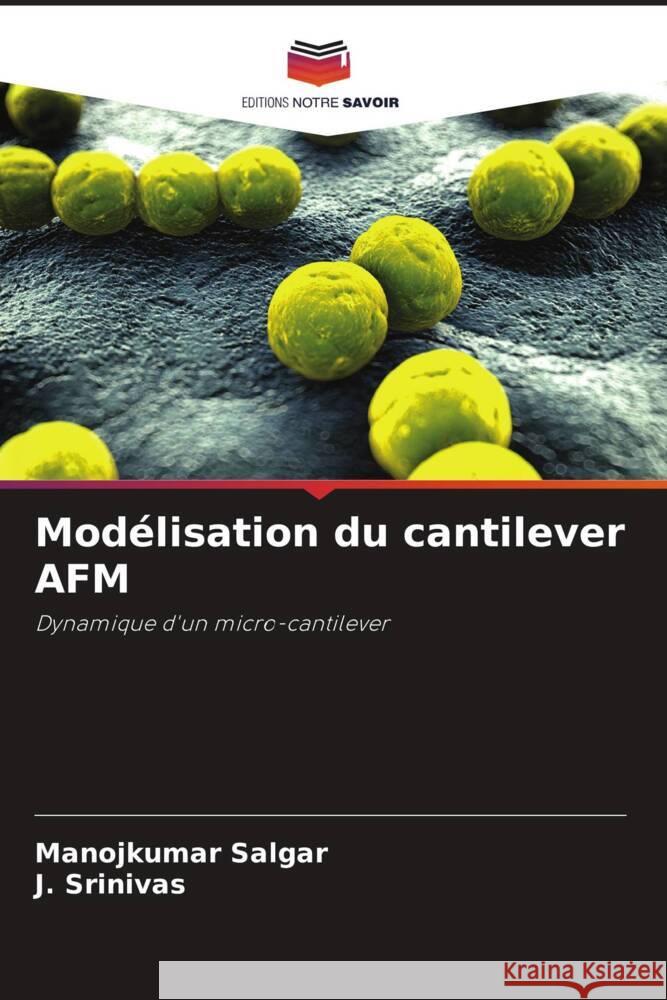 Modélisation du cantilever AFM Salgar, Manojkumar, Srinivas, J. 9786205410608