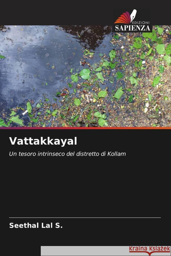 Vattakkayal Lal S., Seethal 9786205412701 Edizioni Sapienza