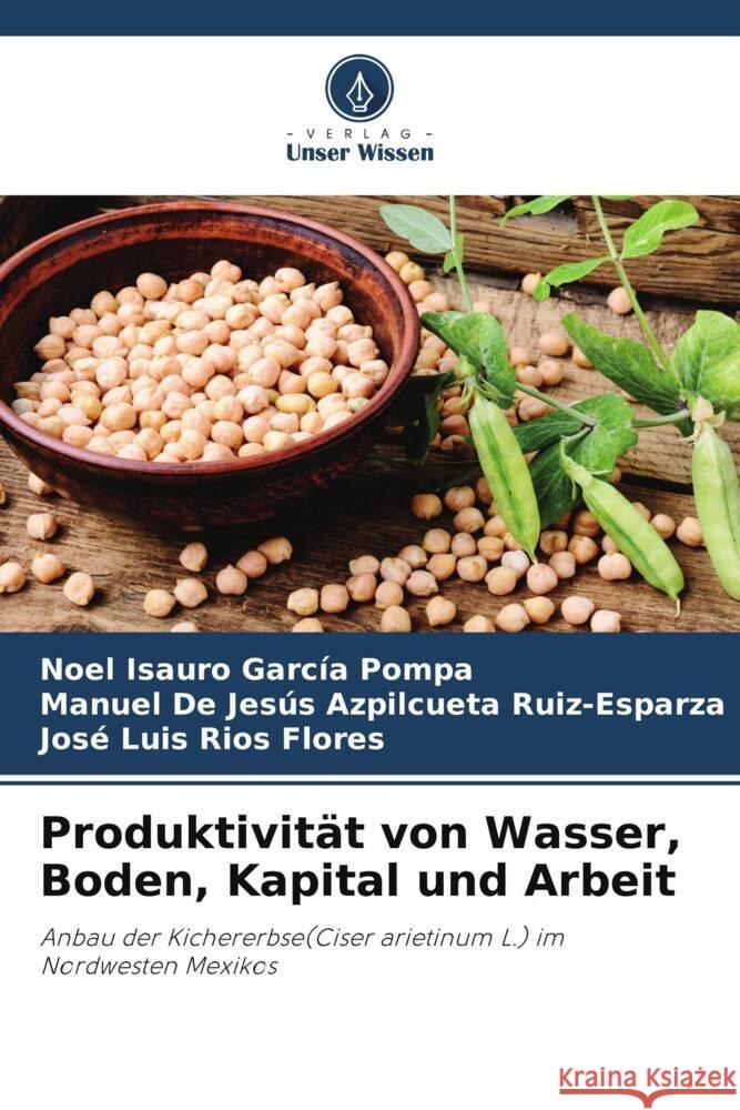 Produktivität von Wasser, Boden, Kapital und Arbeit García Pompa, Noel Isauro, Azpilcueta Ruiz-Esparza, Manuel De Jesús, Ríos Flores, José Luis 9786205421765