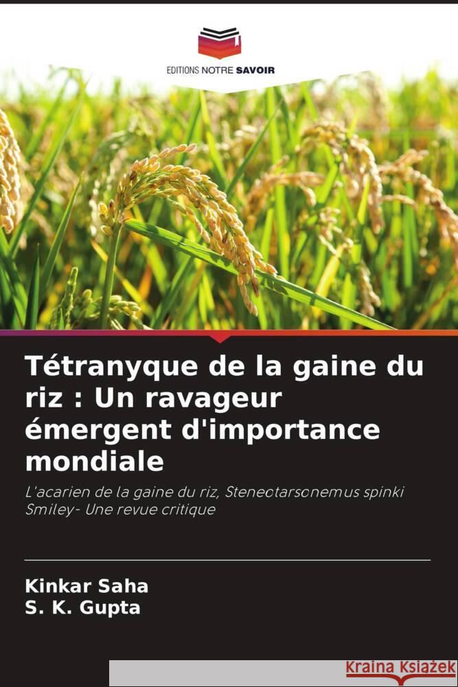 Tétranyque de la gaine du riz : Un ravageur émergent d'importance mondiale Saha, Kinkar, Gupta, S. K. 9786205437650 Editions Notre Savoir