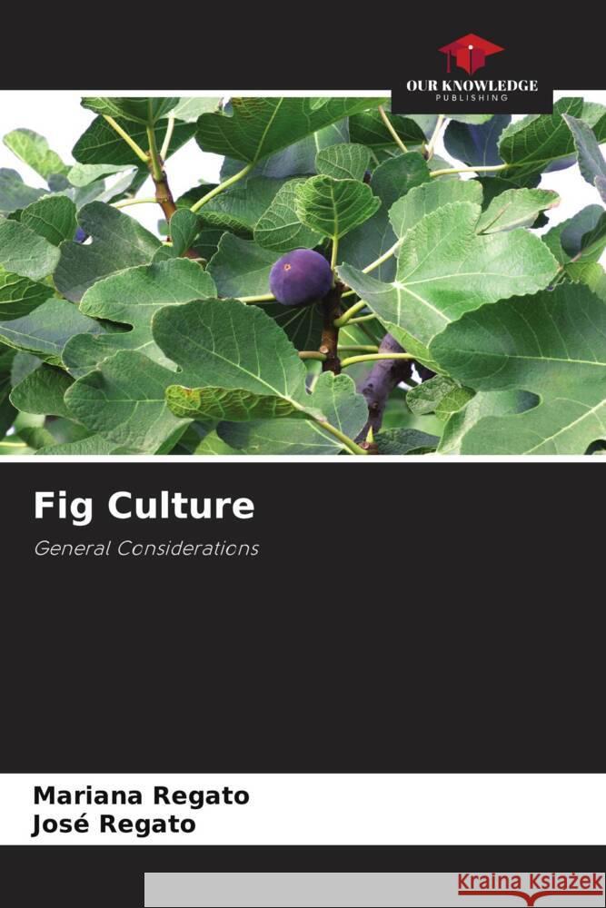 Fig Culture Regato, Mariana, Regato, José 9786205440230 Our Knowledge Publishing
